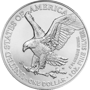 American Silver Eagle 2025 | AME00002