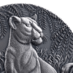 Articles: Top 10 Series 2025 | Grace Lioness | 002