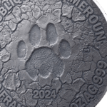 Articles: Top 10 Series 2025 | Grace Lioness | 006
