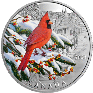 Northern Cardinal 2023 | Colourful Birds | CAN00006