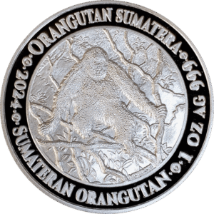 Orangutan Sumatera Proof-Like 2024 | IND00012