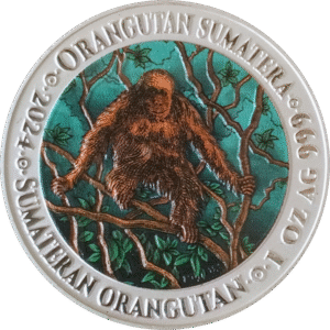 Orangutan Sumatera Colorized 2024 | IND00014