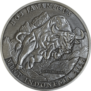 Banteng Java Antique-Like 2024 | IND00016