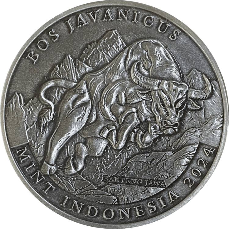 Banteng Java Antique-Like 2024 | IND00016 Banteng Java Antique-Like 2024 | IND00016