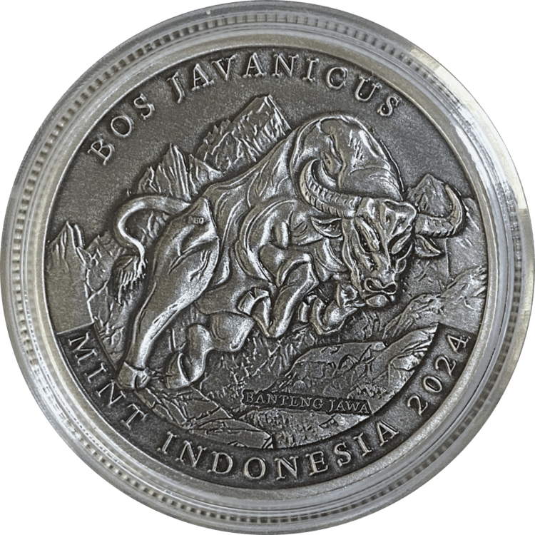 Banteng Java Antique-Like 2024 | IND00016 Banteng Java Antique-Like 2024 | IND00016