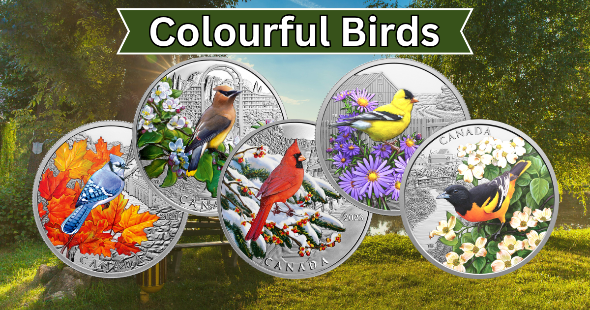 Series Page: Colourful Birds