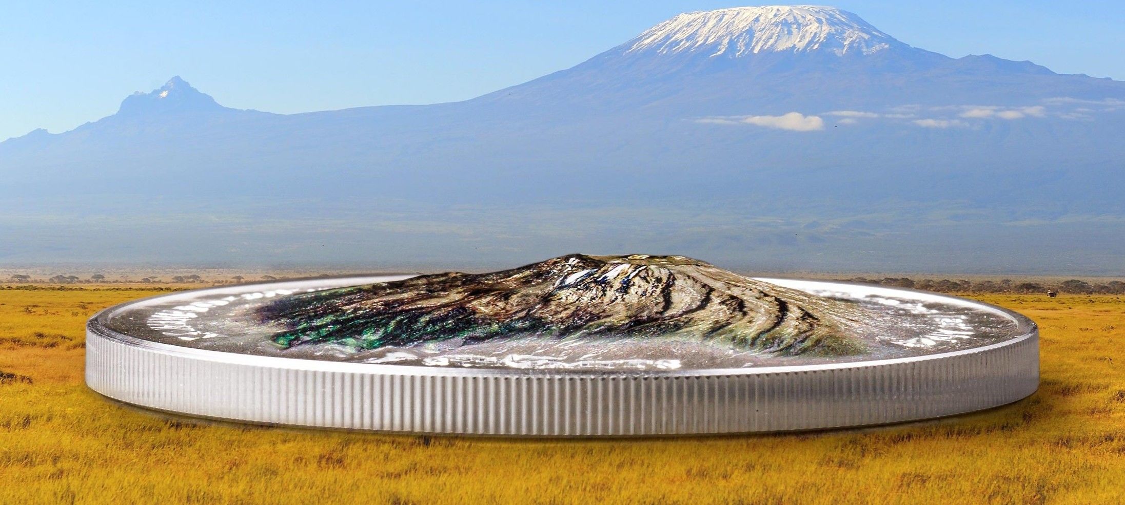 Articles: Nature's Legacy in Silver Capturing the Wild in Precious Metal | Kilimanjaro | 003
