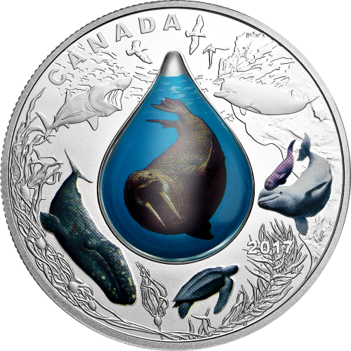 Articles: Silver Waves Capturing Ocean Beauty in Coins | Canadian Underwater Life | 001