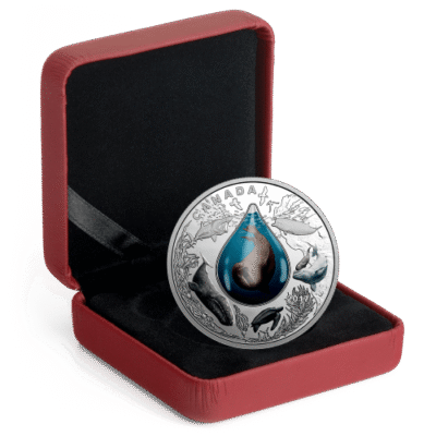 Articles: Silver Waves Capturing Ocean Beauty in Coins | Canadian Underwater Life | 003