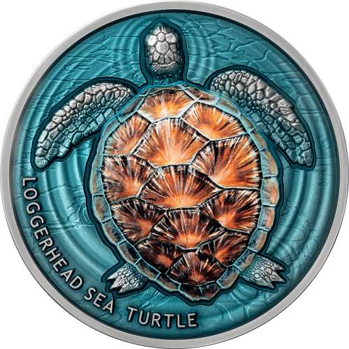 Articles: Silver Waves Capturing Ocean Beauty in Coins | Loggerhead Sea Turtle | 001