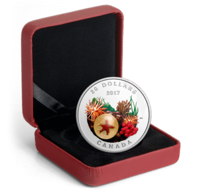 Articles: Silver Waves Capturing Ocean Beauty in Coins | Sea Star | 003