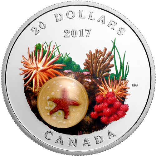 Articles: Silver Waves Capturing Ocean Beauty in Coins | Sea Star | 001