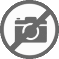 Testimonial: No Image